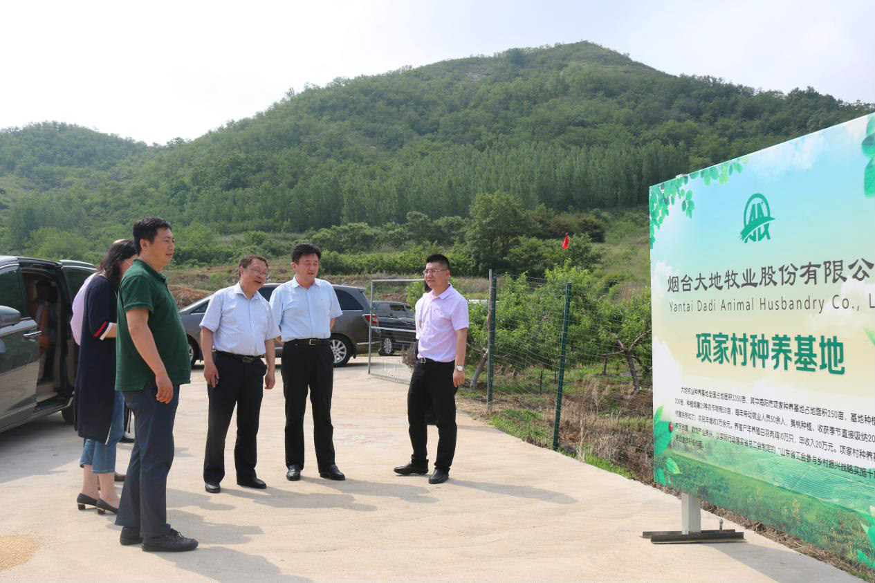 山东省总工会领导到行村镇工友创业园观摩(图1) 山东省总工会领导到行村镇工友创业园观摩(图1)