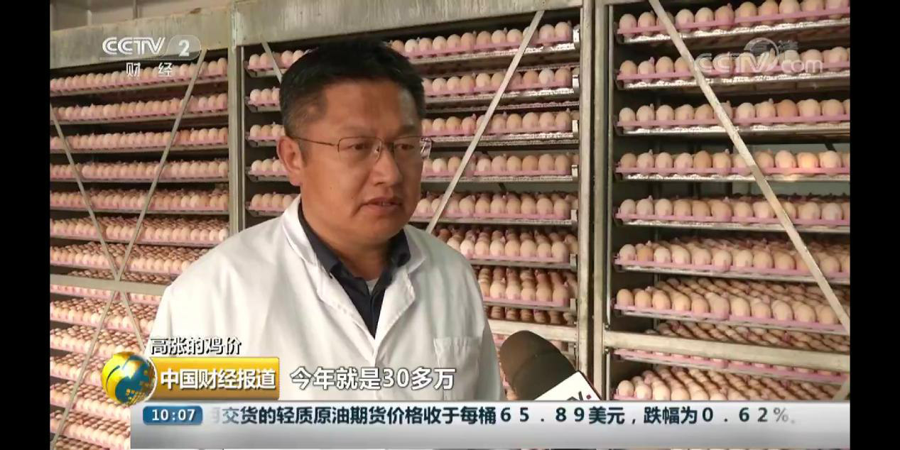 CCTV-2财经频道 走进大地牧业 探寻毛鸡供不应求背后原因(图1) CCTV-2财经频道 走进大地牧业 探寻毛鸡供不应求背后原因(图1)
